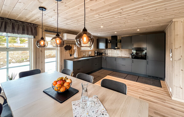 Semesterhus - Birkebeiner/Sjusjøen , Norge - N31756 6