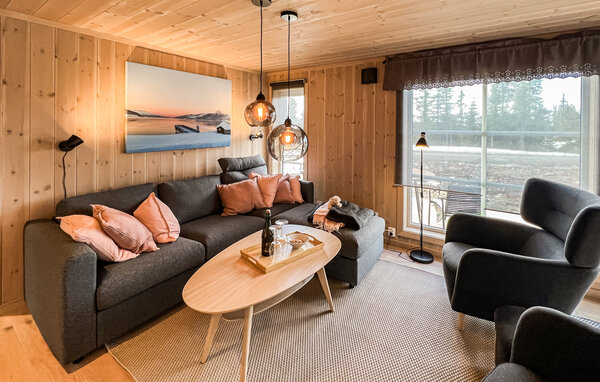 Semesterhus - Birkebeiner/Sjusjøen , Norge - N31756 3