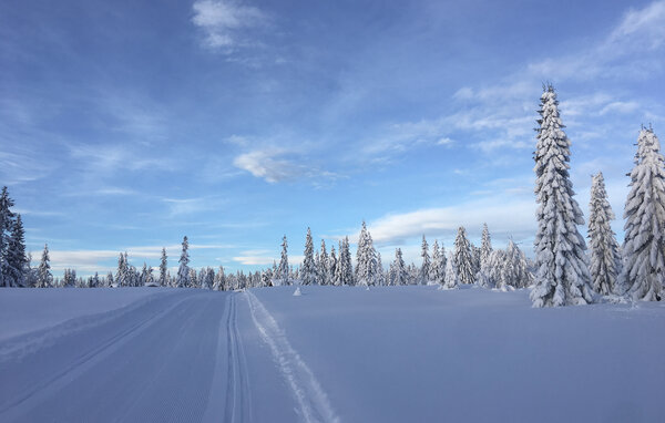 Casa de vacaciones - Sjujøen , Noruega - N31759 8