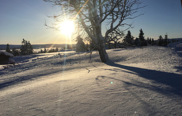 Feriehus - Sjusjøen , Norge - N31761 7