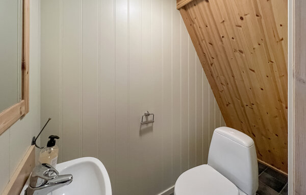 Semesterhus - Sjusjøen , Norge - N31762 703