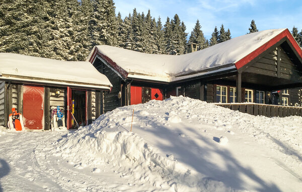 Domy wakacyjne - Sjusjøen , Norwegia - N31762 81