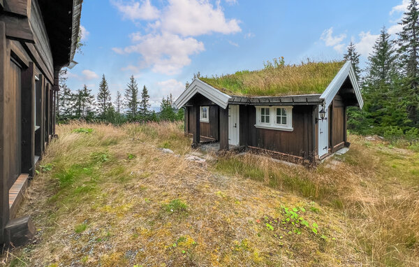 Casa vacanze - Sjusjøen/Nordseter , Norvegia - N31766 81