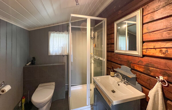 Ferienhaus - Mesnalia , Norwegen - N31767 701