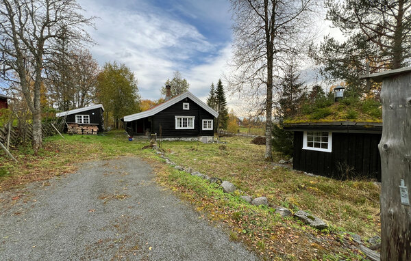 Ferienhaus - Mesnalia , Norwegen - N31767 81