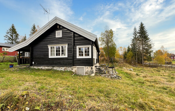 Ferienhaus - Mesnalia , Norwegen - N31767 82