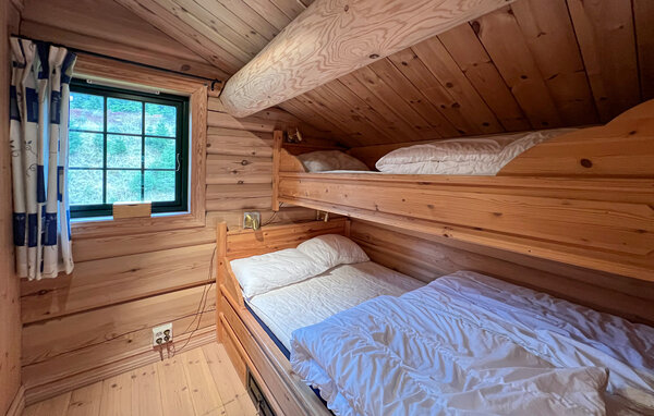 Holiday Home - Sjusjøen , Norway - N31772 601