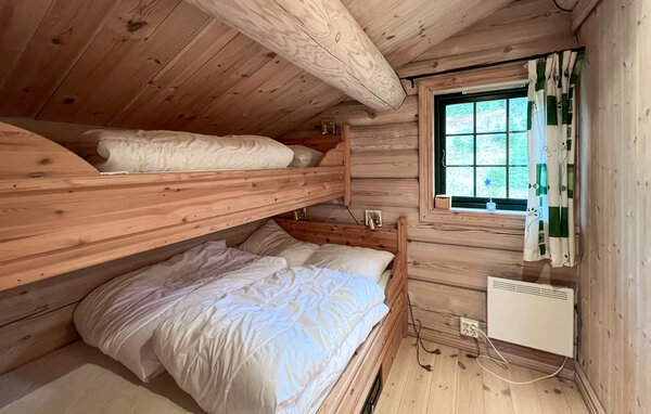 Holiday Home - Sjusjøen , Norway - N31772 602