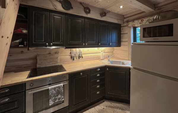 Holiday Home - Sjusjøen , Norway - N31772 4