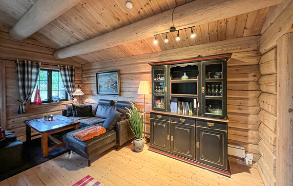 Holiday Home - Sjusjøen , Norway - N31772 301