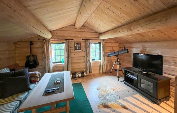 Holiday Home - Sjusjøen , Norway - N31772 6