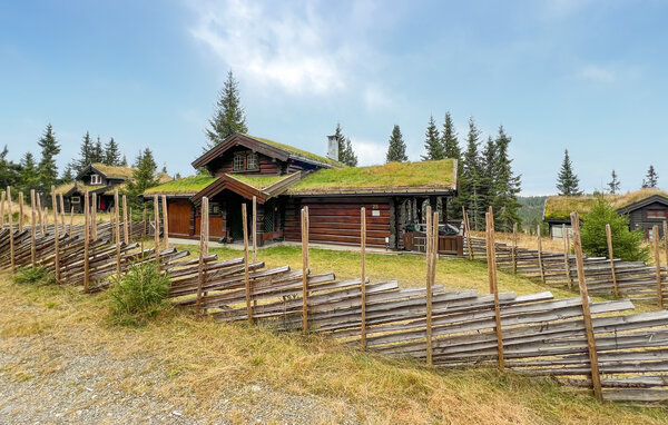 Holiday Home - Sjusjøen , Norway - N31772 81