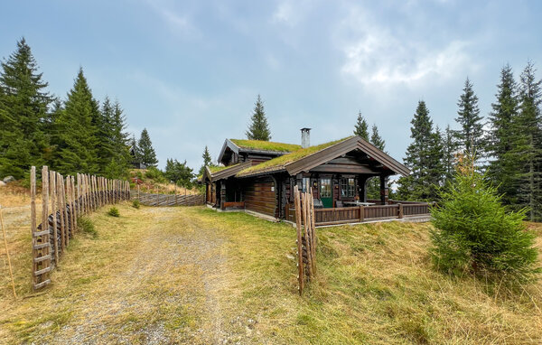 Holiday Home - Sjusjøen , Norway - N31772 1