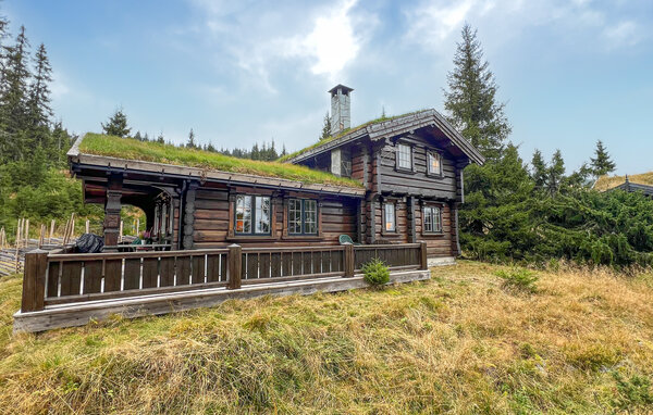 Holiday Home - Sjusjøen , Norway - N31772 7