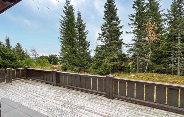 Holiday Home - Sjusjøen , Norway - N31772 101