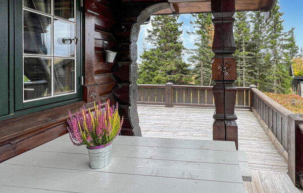 Holiday Home - Sjusjøen , Norway - N31772 2