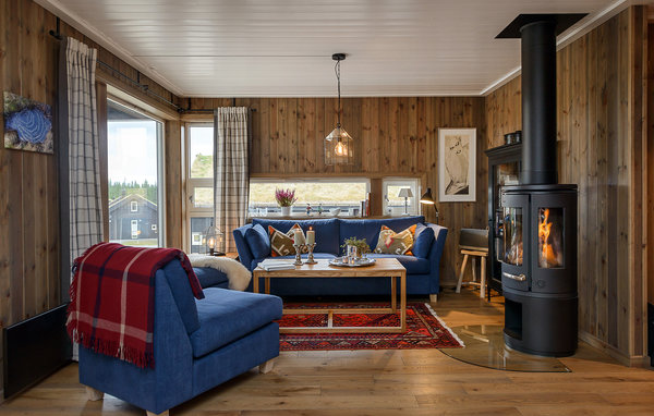 Ferienhaus - Sjusjøen , Norwegen - N31776 3