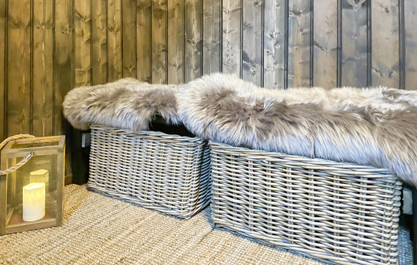 Ferienhaus - Sjusjøen , Norwegen - N31777 501