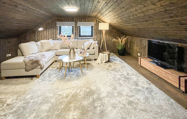 Ferienhaus - Sjusjøen , Norwegen - N31777 8