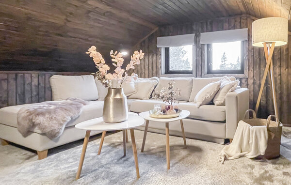 Ferienhaus - Sjusjøen , Norwegen - N31777 304