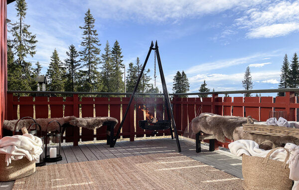 Ferienhaus - Sjusjøen , Norwegen - N31777 1