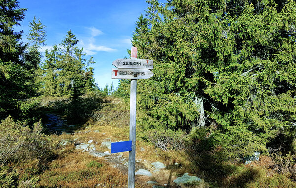 Semesterhus - Sjusjøen , Norge - N31781 902