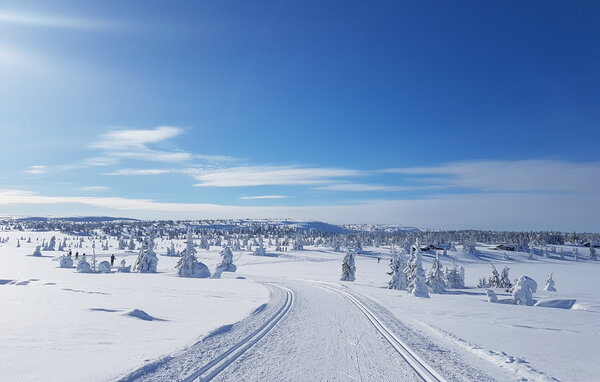 Semesterhus - Sjusjøen , Norge - N31781 904