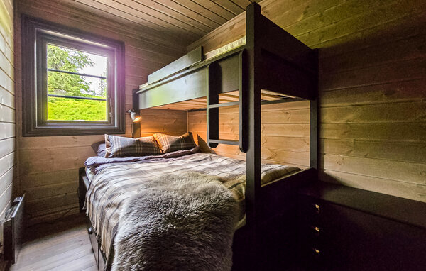 Holiday Home - Sjusjøen , Norway - N31781 603
