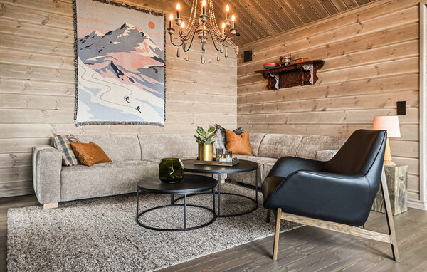 Holiday Home - Sjusjøen , Norway - N31781 301
