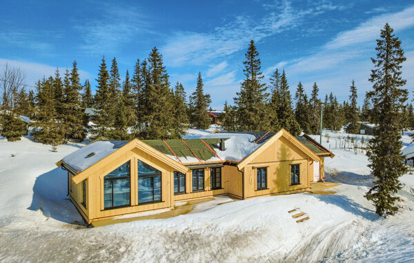 Feriehus - Sjusjøen , Norge - N31781 81