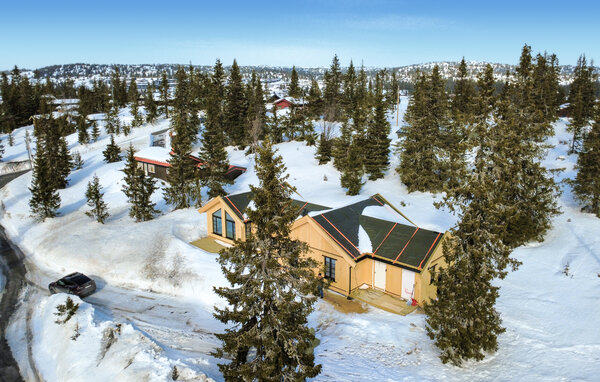 Feriehus - Sjusjøen , Norge - N31781 82