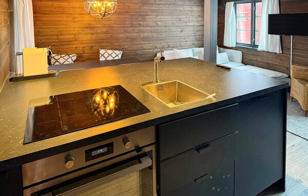 Feriehus - Nordseter/ Sjusjøen , Norge - N31782 5