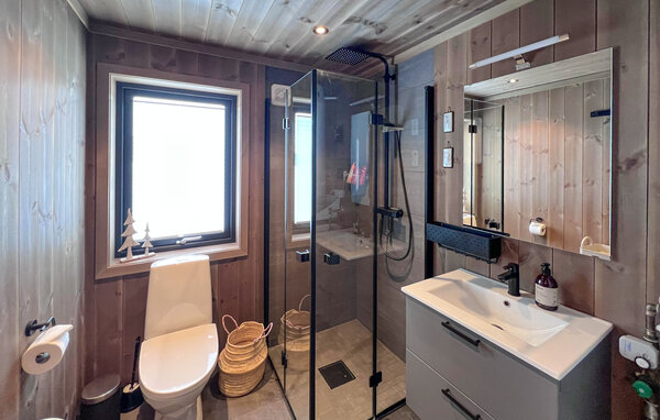 Ferienhaus - Sjusjøen , Norwegen - N31783 701