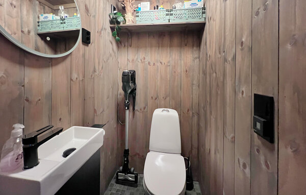 Ferienhaus - Sjusjøen , Norwegen - N31783 702