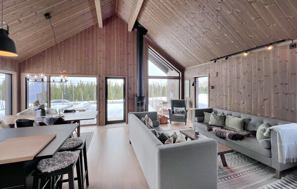 Ferienhaus - Sjusjøen , Norwegen - N31783 3