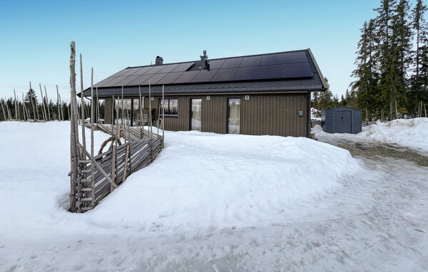 Ferienhaus - Sjusjøen , Norwegen - N31783 1