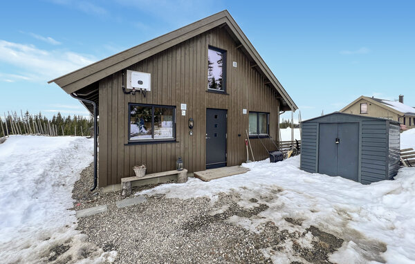 Ferienhaus - Sjusjøen , Norwegen - N31783 81