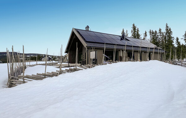 Ferienhaus - Sjusjøen , Norwegen - N31783 82