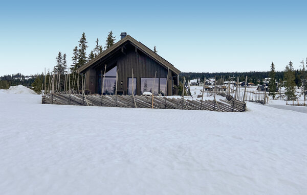 Ferienhaus - Sjusjøen , Norwegen - N31783 83