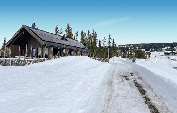 Ferienhaus - Sjusjøen , Norwegen - N31783 84