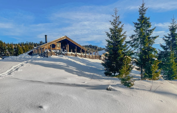 Semesterhus - Sjusjøen , Norge - N31808 1