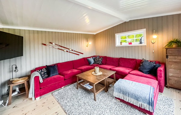 Ferienhaus - Sjusjøen , Norwegen - N31809 2