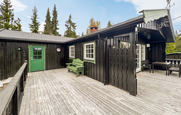 Ferienhaus - Sjusjøen , Norwegen - N31809 1