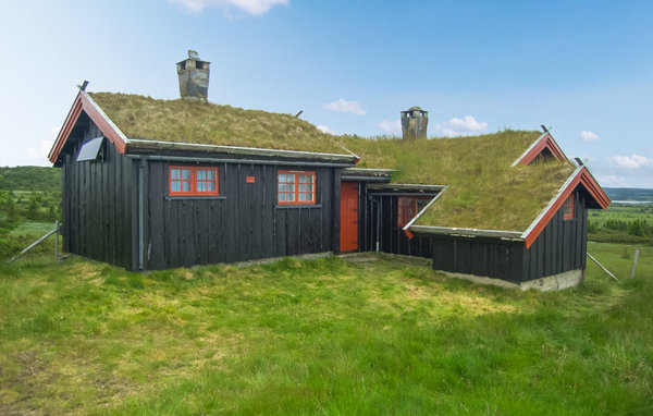 Ferienhaus - Sjusjøen , Norwegen - N31823 2