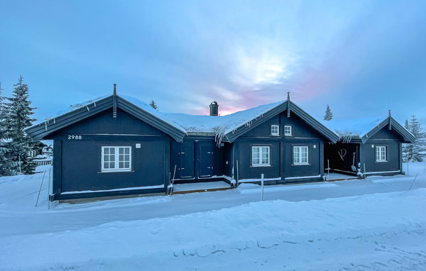 Ferienhaus - Sjusjøen , Norwegen - N31833 1