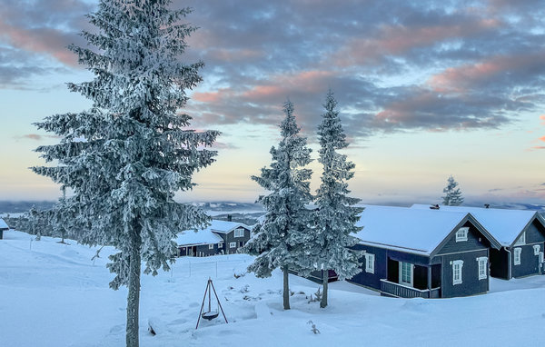 Ferienhaus - Sjusjøen , Norwegen - N31833 2