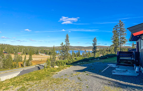 Ferienhaus - Sjusjøen , Norwegen - N31843 2