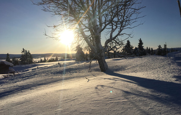Appartement Fjellheimen nr 104