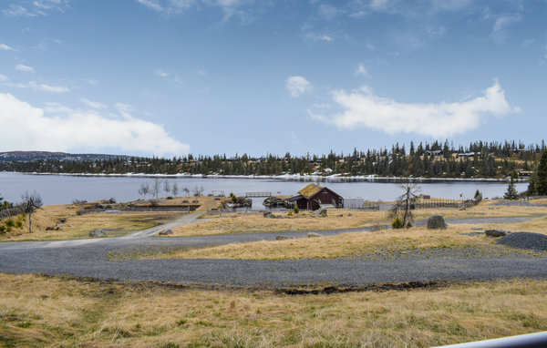 Ferienwohnung - Sjusjøen , Norwegen - N31856 2