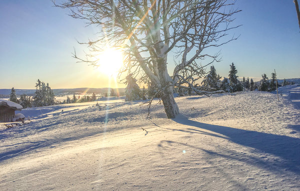Domy wakacyjne - Sjusjøen , Norwegia - N31857 6
